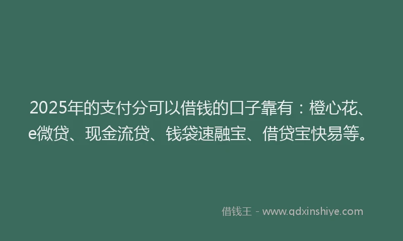 2025年的支付分可以借钱的口子靠有：橙心花、e微贷、现金流贷、钱袋速融宝、借贷宝快易等。