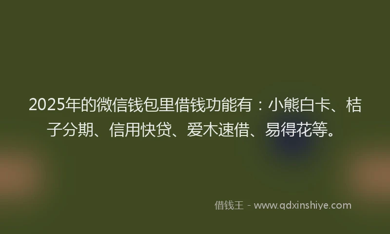 2025年的微信钱包里借钱功能有：小熊白卡、桔子分期、信用快贷、爱木速借、易得花等。