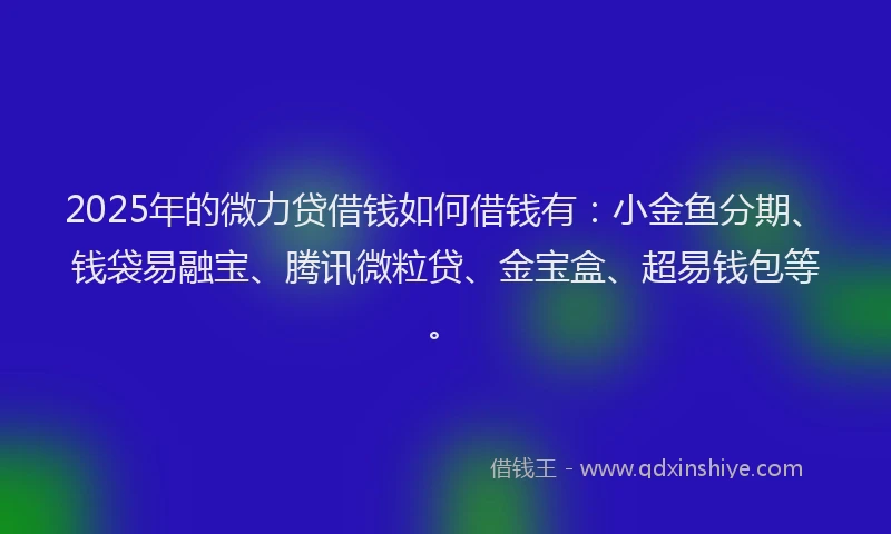 2025年的微力贷借钱如何借钱有：小金鱼分期、钱袋易融宝、腾讯微粒贷、金宝盒、超易钱包等。