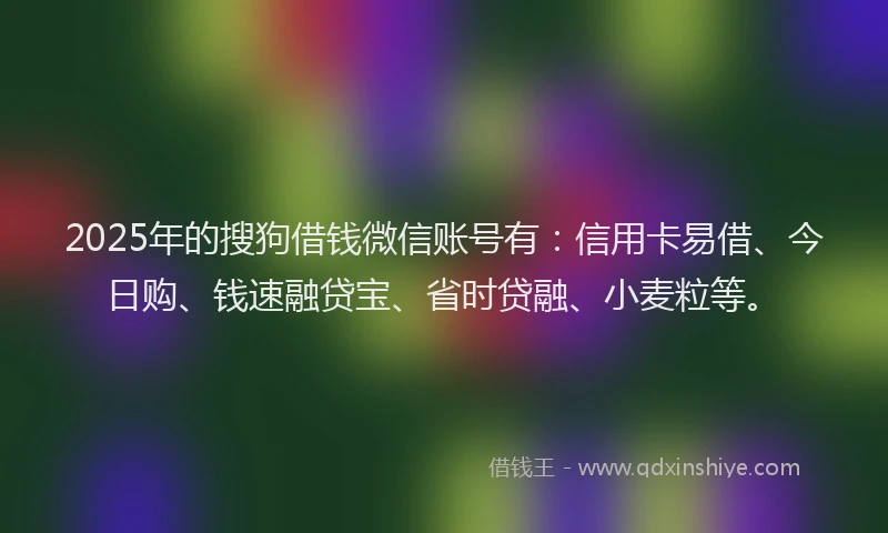 2025年的搜狗借钱微信账号有：信用卡易借、今日购、钱速融贷宝、省时贷融、小麦粒等。