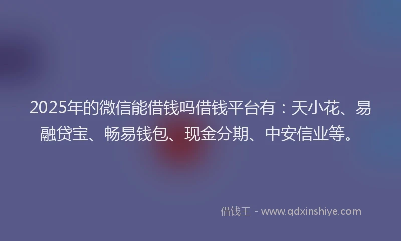 2025年的微信能借钱吗借钱平台有：天小花、易融贷宝、畅易钱包、现金分期、中安信业等。
