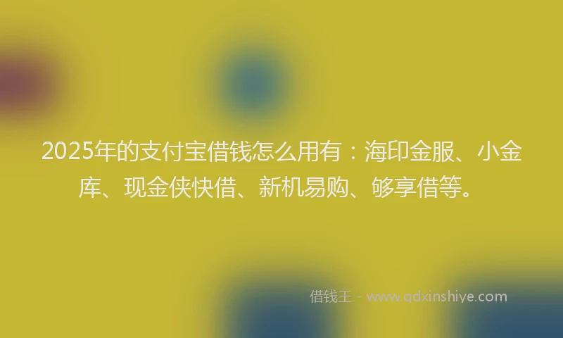2025年的支付宝借钱怎么用有：海印金服、小金库、现金侠快借、新机易购、够享借等。