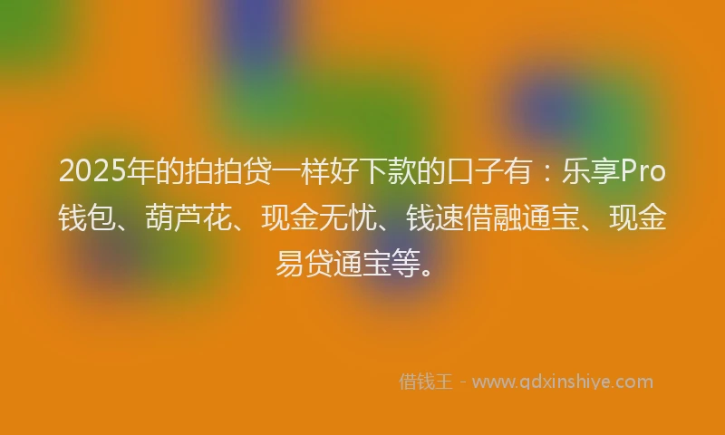 2025年的拍拍贷一样好下款的口子有：乐享Pro钱包、葫芦花、现金无忧、钱速借融通宝、现金易贷通宝等。