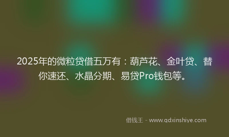 2025年的微粒贷借五万有：葫芦花、金叶贷、替你速还、水晶分期、易贷Pro钱包等。
