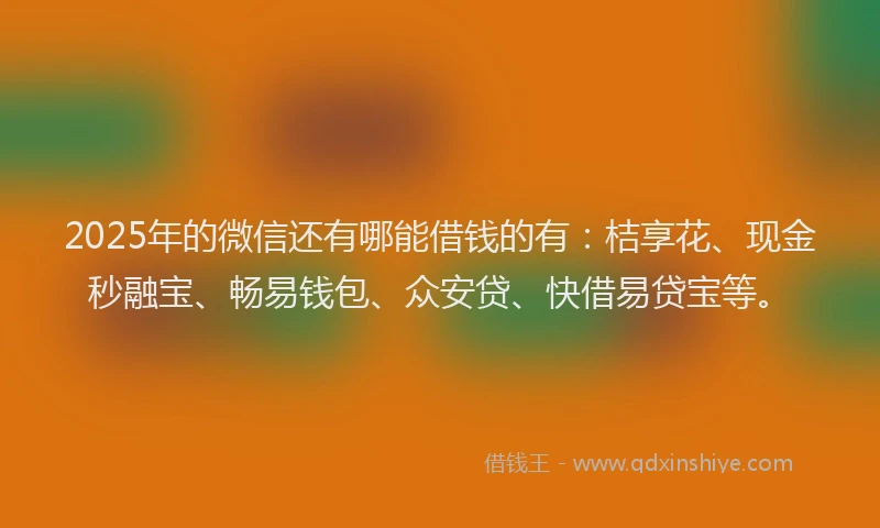 2025年的微信还有哪能借钱的有：桔享花、现金秒融宝、畅易钱包、众安贷、快借易贷宝等。