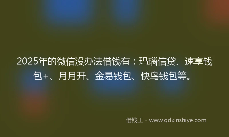 2025年的微信没办法借钱有：玛瑙信贷、速享钱包+、月月开、金易钱包、快鸟钱包等。