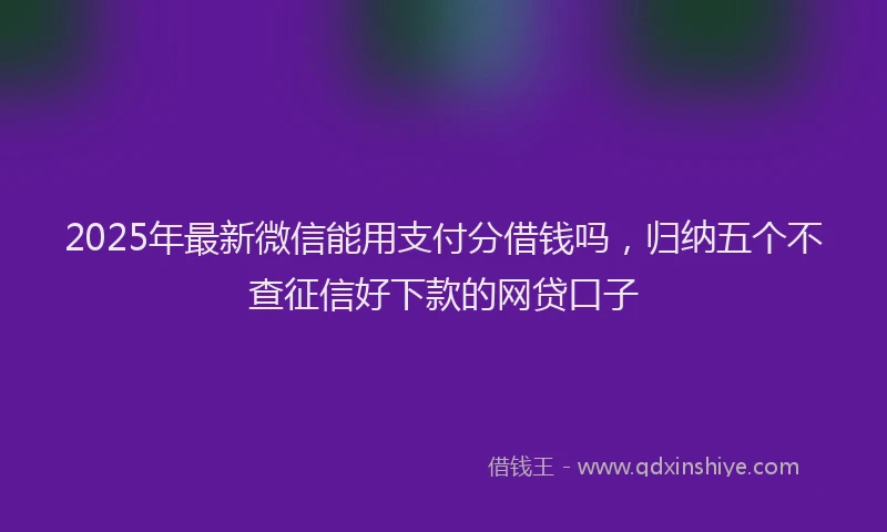 2025年最新微信能用支付分借钱吗，归纳五个不查征信好下款的网贷口子