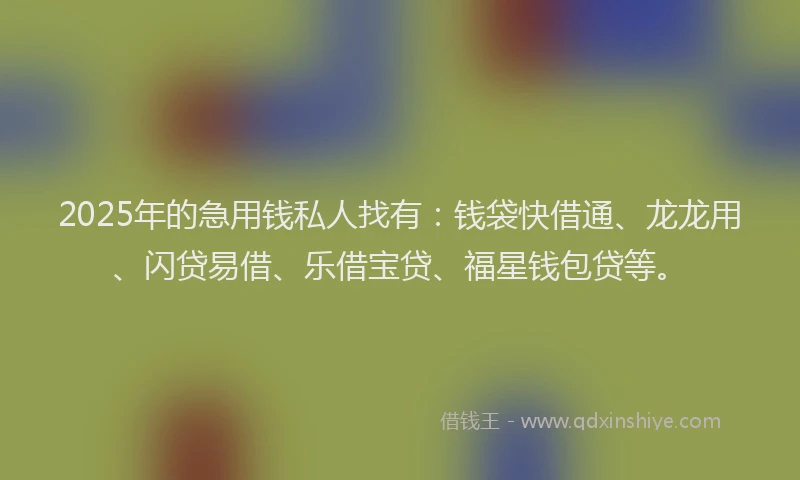 2025年的急用钱私人找有：钱袋快借通、龙龙用、闪贷易借、乐借宝贷、福星钱包贷等。
