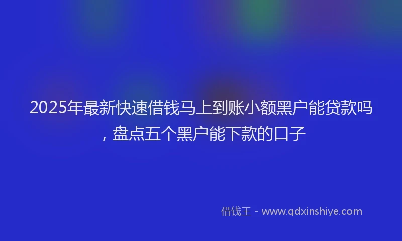 2025年最新快速借钱马上到账小额黑户能贷款吗，盘点五个黑户能下款的口子