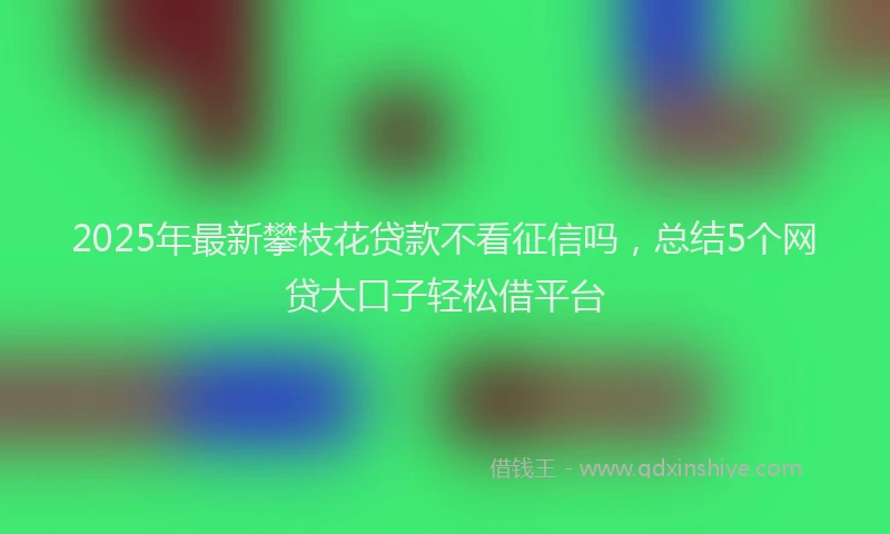 2025年最新攀枝花贷款不看征信吗，总结5个网贷大口子轻松借平台