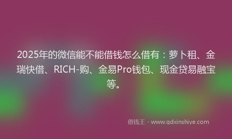 2025年的微信能不能借钱怎么借有：萝卜租、金瑞快借、RICH-购、金易Pro钱包、现金贷易融宝等。