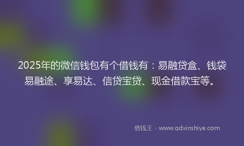 2025年的微信钱包有个借钱有：易融贷盒、钱袋易融途、享易达、信贷宝贷、现金借款宝等。