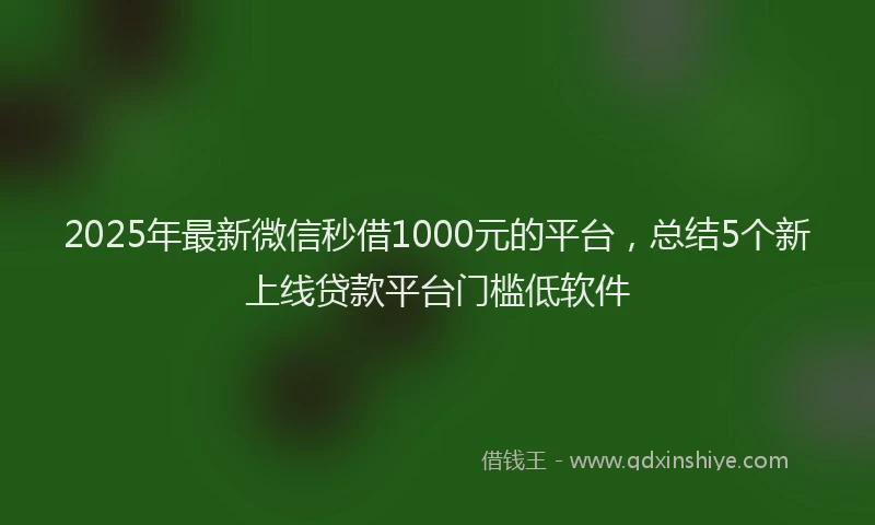 2025年最新微信秒借1000元的平台，总结5个新上线贷款平台门槛低软件