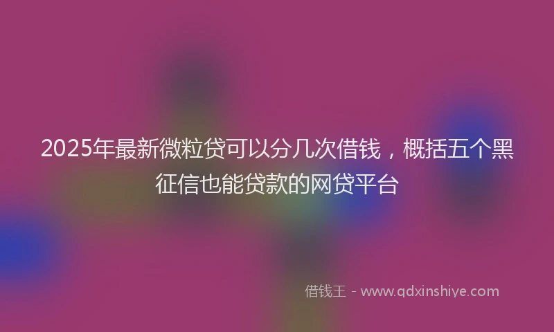 2025年最新微粒贷可以分几次借钱，概括五个黑征信也能贷款的网贷平台