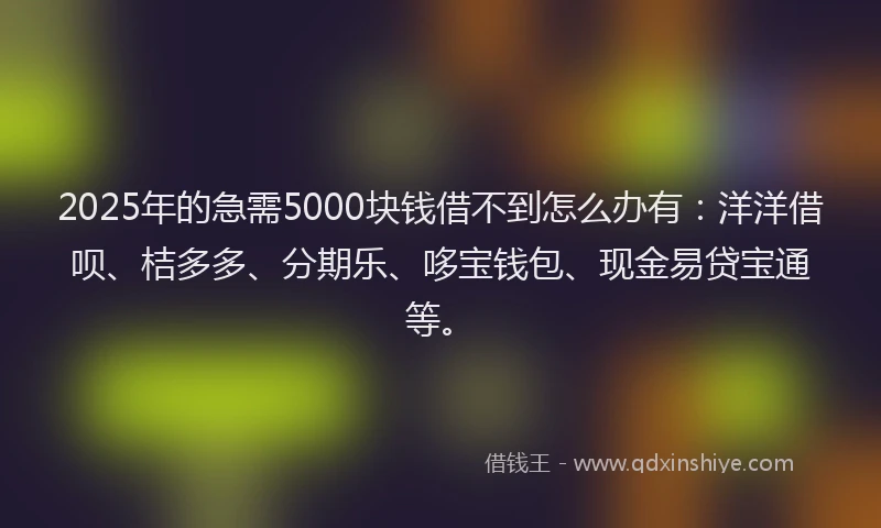 2025年的急需5000块钱借不到怎么办有：洋洋借呗、桔多多、分期乐、哆宝钱包、现金易贷宝通等。