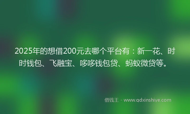 2025年的想借200元去哪个平台有：新一花、时时钱包、飞融宝、哆哆钱包贷、蚂蚁微贷等。