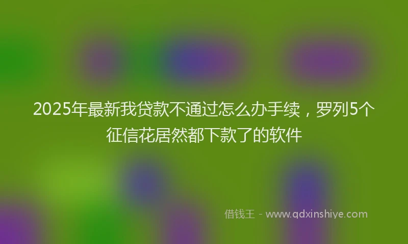 2025年最新我贷款不通过怎么办手续，罗列5个征信花居然都下款了的软件
