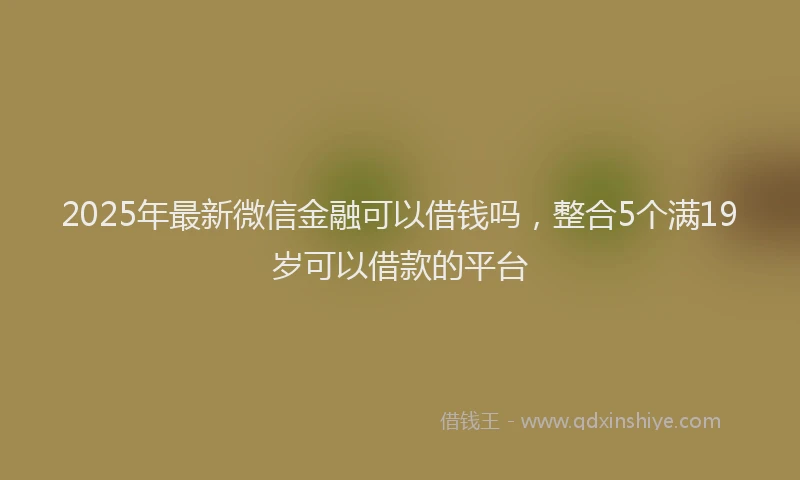 2025年最新微信金融可以借钱吗，整合5个满19岁可以借款的平台