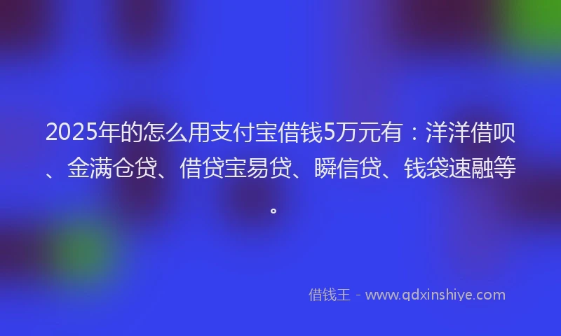 2025年的怎么用支付宝借钱5万元有：洋洋借呗、金满仓贷、借贷宝易贷、瞬信贷、钱袋速融等。