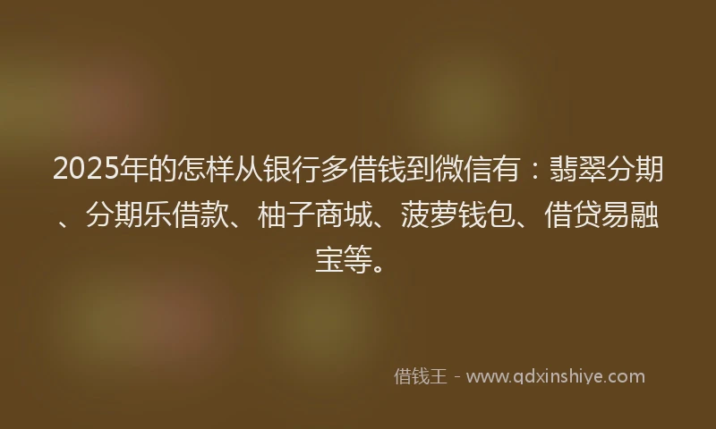 2025年的怎样从银行多借钱到微信有：翡翠分期、分期乐借款、柚子商城、菠萝钱包、借贷易融宝等。