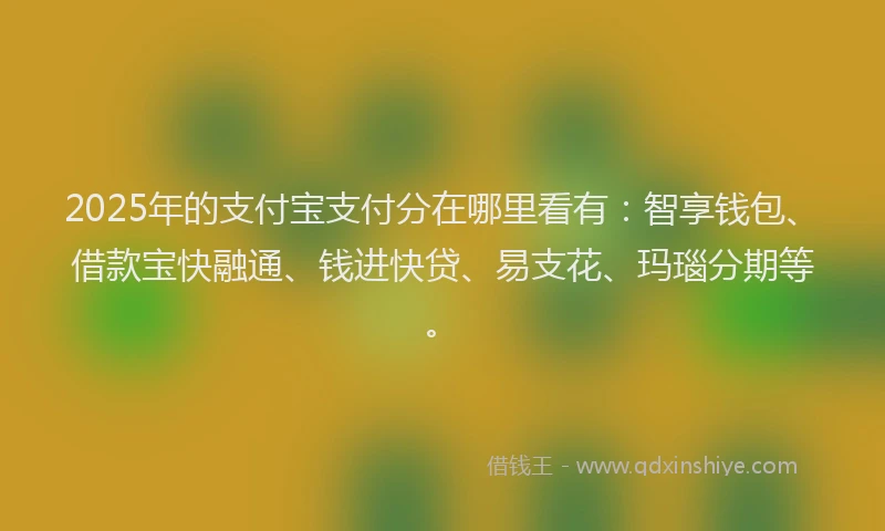 2025年的支付宝支付分在哪里看有：智享钱包、借款宝快融通、钱进快贷、易支花、玛瑙分期等。
