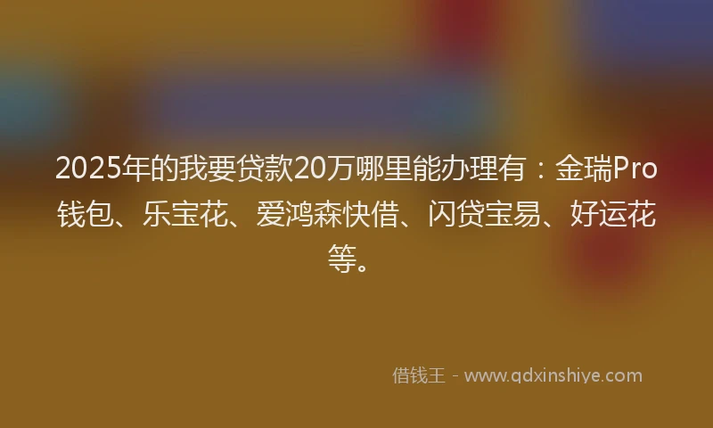 2025年的我要贷款20万哪里能办理有：金瑞Pro钱包、乐宝花、爱鸿森快借、闪贷宝易、好运花等。