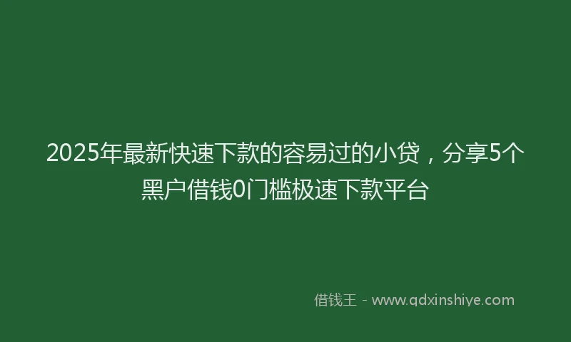 2025年最新快速下款的容易过的小贷，分享5个黑户借钱0门槛极速下款平台