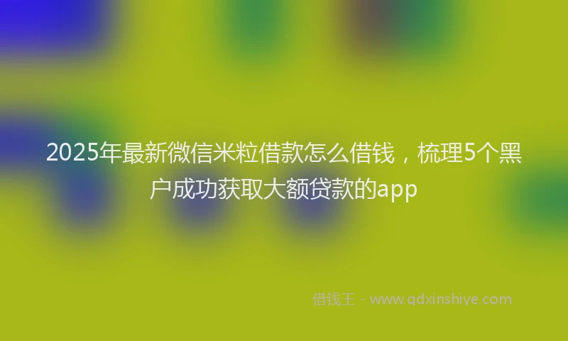 2025年最新微信米粒借款怎么借钱，梳理5个黑户成功获取大额贷款的app