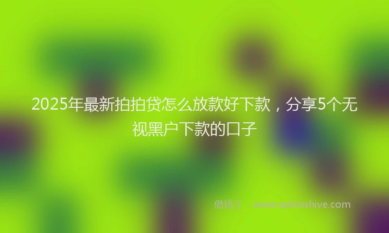 2025年最新拍拍贷怎么放款好下款，分享5个无视黑户下款的口子