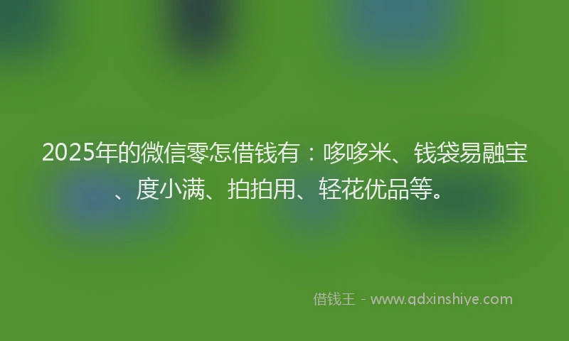2025年的微信零怎借钱有：哆哆米、钱袋易融宝、度小满、拍拍用、轻花优品等。