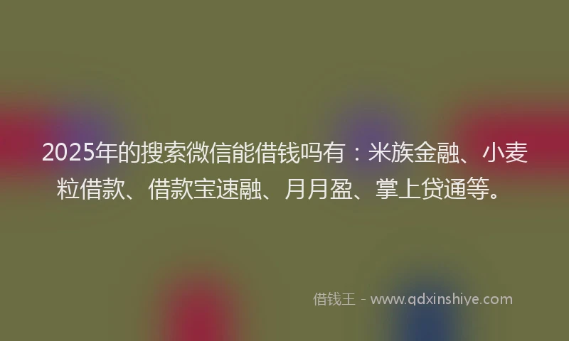 2025年的搜索微信能借钱吗有：米族金融、小麦粒借款、借款宝速融、月月盈、掌上贷通等。