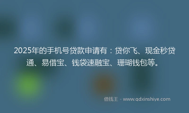 2025年的手机号贷款申请有：贷你飞、现金秒贷通、易借宝、钱袋速融宝、珊瑚钱包等。