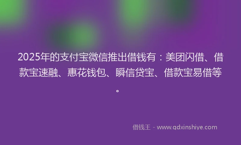 2025年的支付宝微信推出借钱有：美团闪借、借款宝速融、惠花钱包、瞬信贷宝、借款宝易借等。