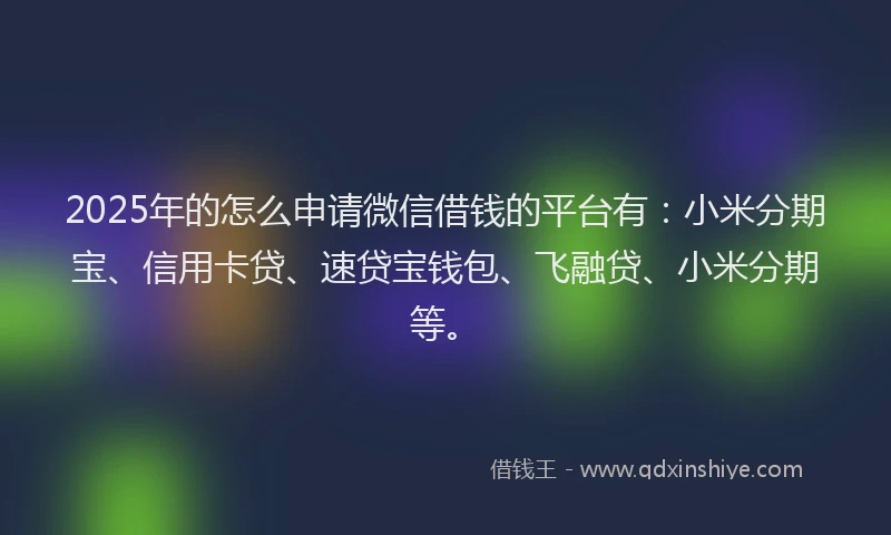 2025年的怎么申请微信借钱的平台有：小米分期宝、信用卡贷、速贷宝钱包、飞融贷、小米分期等。