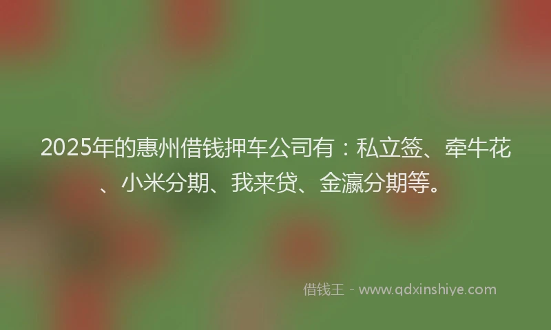 2025年的惠州借钱押车公司有：私立签、牵牛花、小米分期、我来贷、金瀛分期等。