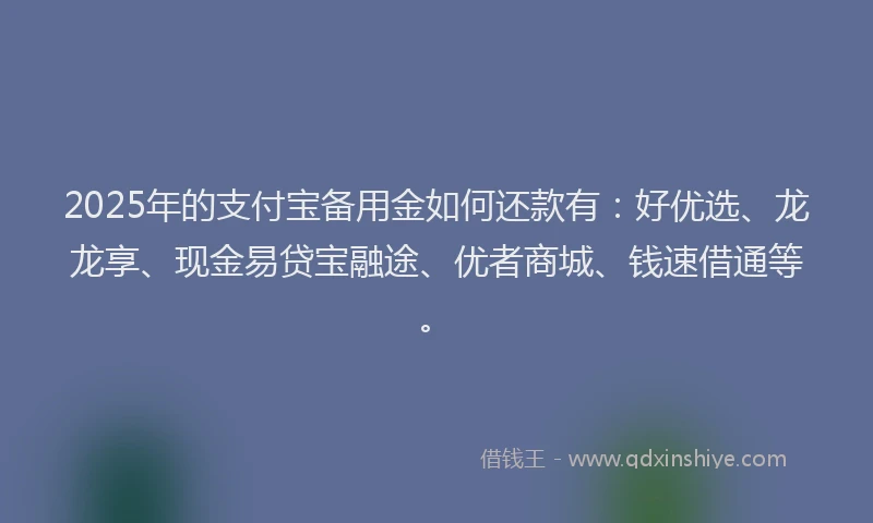 2025年的支付宝备用金如何还款有：好优选、龙龙享、现金易贷宝融途、优者商城、钱速借通等。