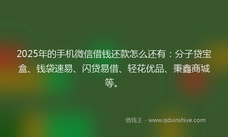 2025年的手机微信借钱还款怎么还有：分子贷宝盒、钱袋速易、闪贷易借、轻花优品、秉鑫商城等。