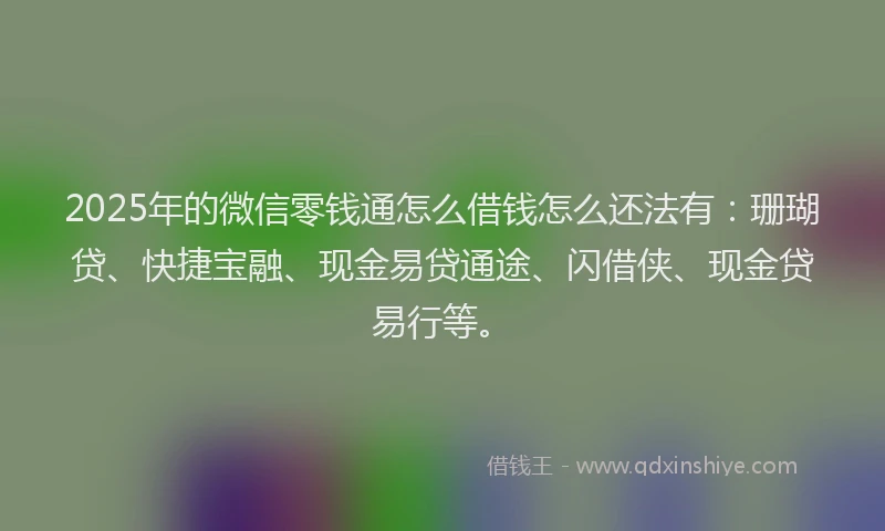 2025年的微信零钱通怎么借钱怎么还法有：珊瑚贷、快捷宝融、现金易贷通途、闪借侠、现金贷易行等。