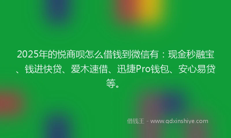 2025年的悦商呗怎么借钱到微信有：现金秒融宝、钱进快贷、爱木速借、迅捷Pro钱包、安心易贷等。