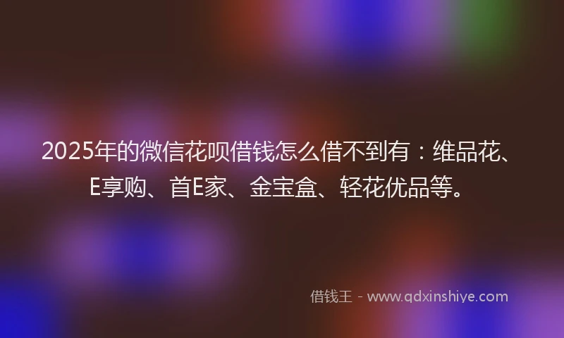 2025年的微信花呗借钱怎么借不到有：维品花、E享购、首E家、金宝盒、轻花优品等。