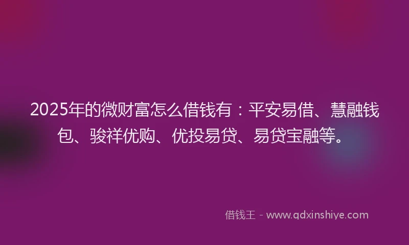 2025年的微财富怎么借钱有：平安易借、慧融钱包、骏祥优购、优投易贷、易贷宝融等。