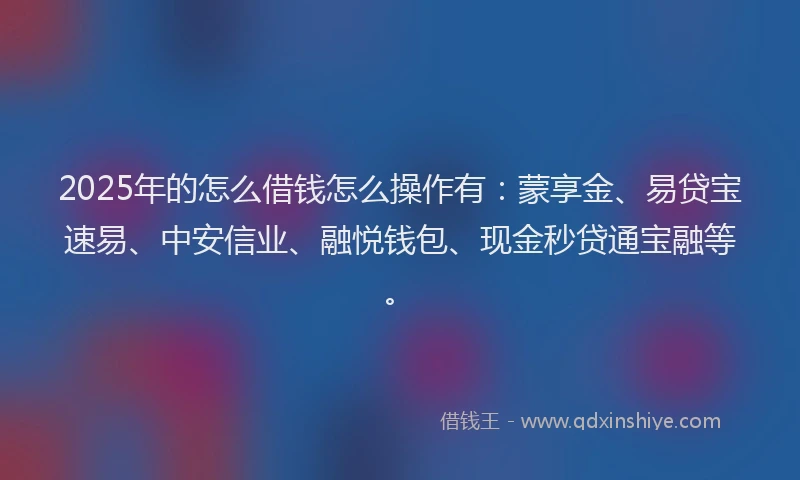 2025年的怎么借钱怎么操作有：蒙享金、易贷宝速易、中安信业、融悦钱包、现金秒贷通宝融等。