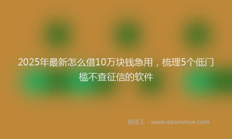 2025年最新怎么借10万块钱急用，梳理5个低门槛不查征信的软件