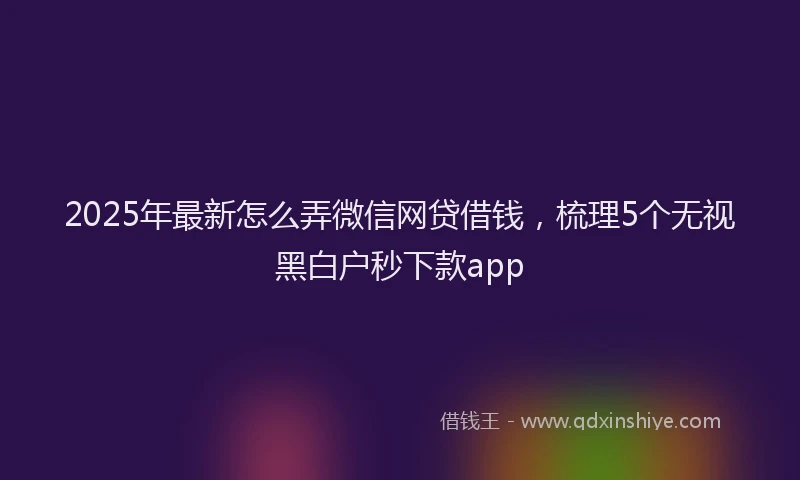 2025年最新怎么弄微信网贷借钱，梳理5个无视黑白户秒下款app