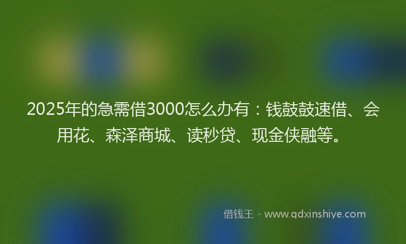 2025年的急需借3000怎么办有：钱鼓鼓速借、会用花、森泽商城、读秒贷、现金侠融等。