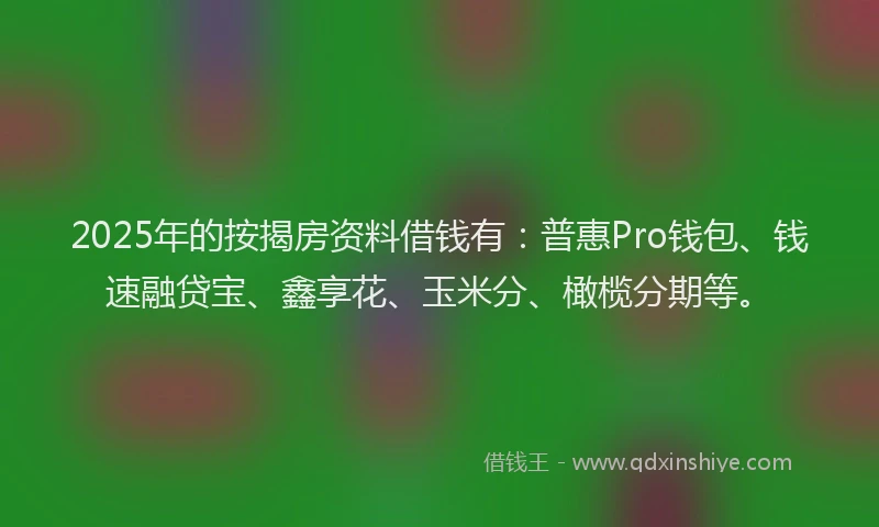2025年的按揭房资料借钱有：普惠Pro钱包、钱速融贷宝、鑫享花、玉米分、橄榄分期等。