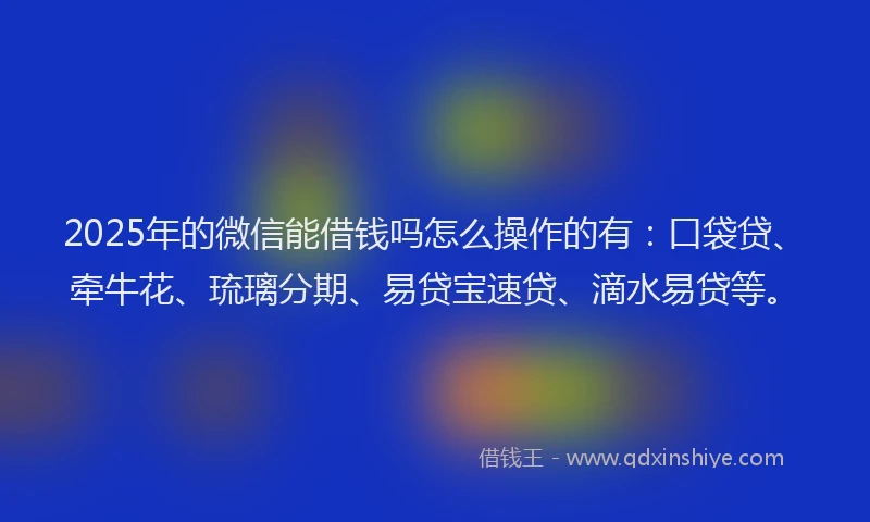 2025年的微信能借钱吗怎么操作的有：口袋贷、牵牛花、琉璃分期、易贷宝速贷、滴水易贷等。