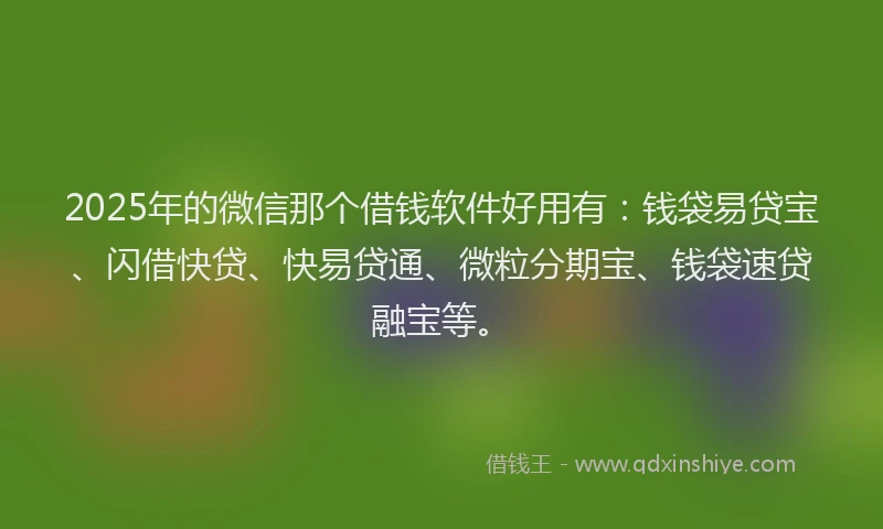 2025年的微信那个借钱软件好用有：钱袋易贷宝、闪借快贷、快易贷通、微粒分期宝、钱袋速贷融宝等。