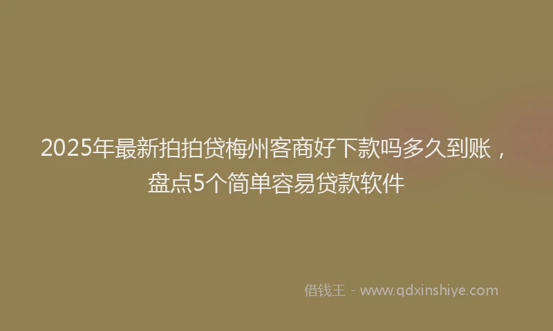 2025年最新拍拍贷梅州客商好下款吗多久到账，盘点5个简单容易贷款软件