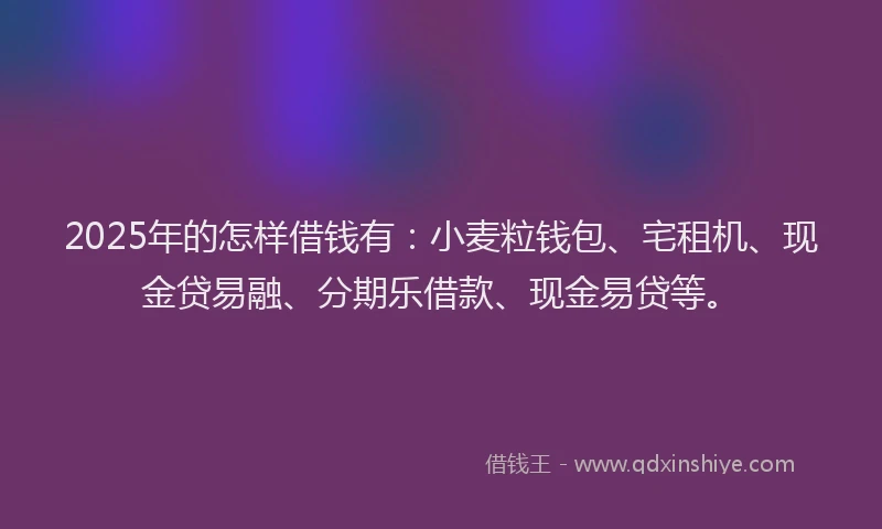 2025年的怎样借钱有：小麦粒钱包、宅租机、现金贷易融、分期乐借款、现金易贷等。